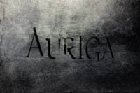 You are currently viewing AURIGA