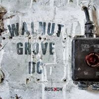 You are currently viewing Walnut Grove Dc : sortie de leur album décalée…