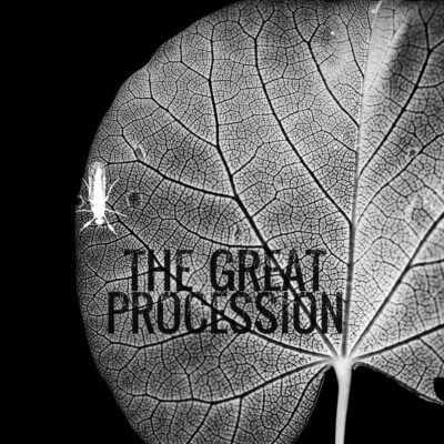 The Great Procession The Great Procession